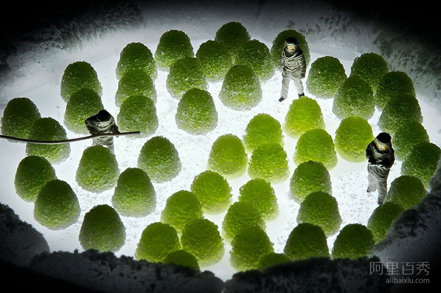 20個(gè)有趣的水果組合微型話劇--置頂表情