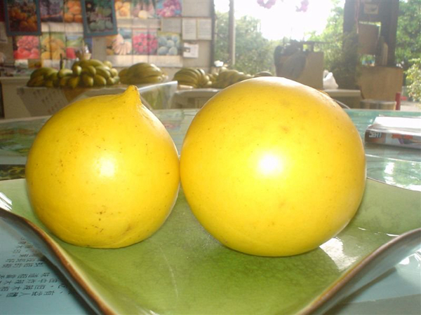 20種不常見但很好吃的怪異水果，非洲角瓜絕對是吃貨的追求--置頂表情